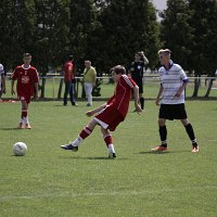 IMG 0730